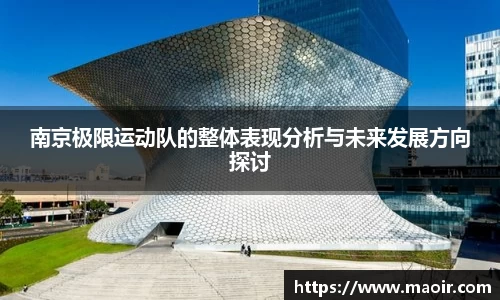 南京极限运动队的整体表现分析与未来发展方向探讨