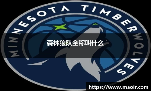 森林狼队全称叫什么