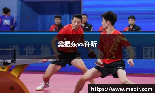 樊振东vs许昕